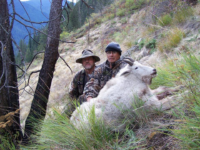 Goat Hunt Success Idaho