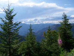 Outdoor Adventure Idaho Wild and Scenic Photographs