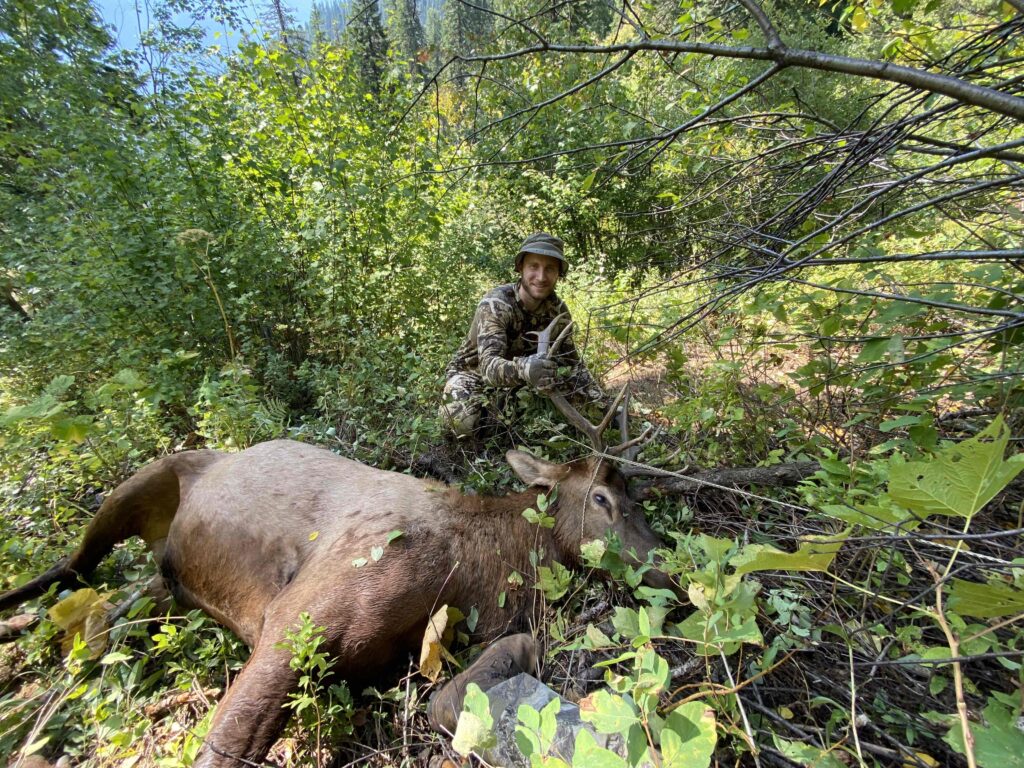 archery elk hunt, bull elk archery hunt, ridgerunner outfitters