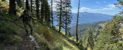 idaho elk hunting, idaho deer hunting, ridgerunner outfitters